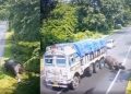 কাজিৰঙা ৰাষ্ট্ৰীয় উদ্যানত তীব্ৰ বেগী ট্ৰাকৰ খুন্দাত গড়ঁ আহত, বাগৰিত আটক ট্ৰাক