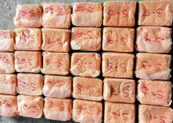 Drugs seized