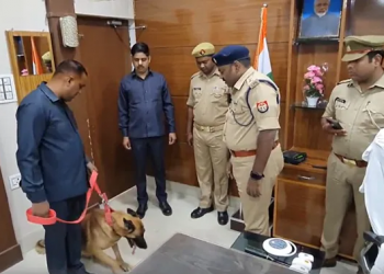Police Dog Johny