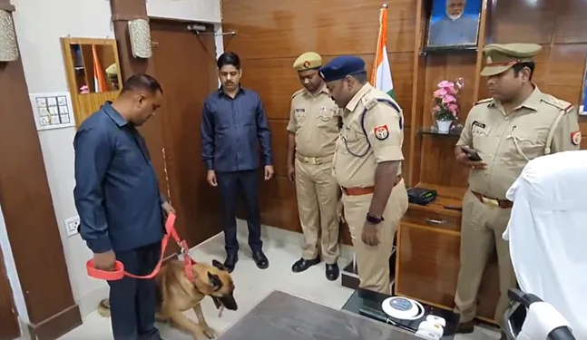 Police Dog Johny