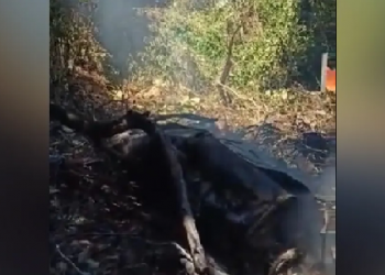 Army helicopter crash
