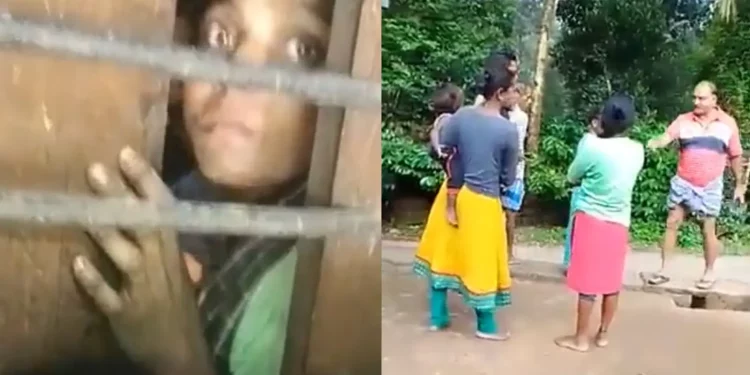 ফটো: সংগৃহীত।