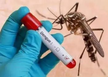 dengue in Assam