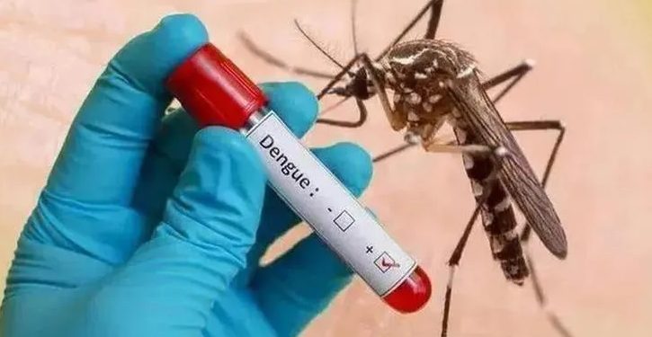 dengue in Assam