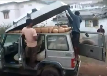 Marijuana smuggling in Pushpa style