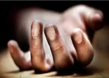 Woman's Body Chopped In Several Pieces