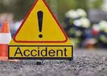 Taxi Falls Into Gorge In Jammu-Kashmir