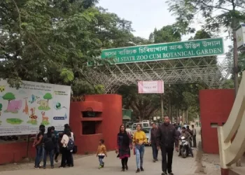পুনৰ গুজৰাটৰ আম্বানীৰ চিৰিয়াখানালৈ জন্তু স্থানান্তৰ কৰিলে অসম ৰাজ্যিক চিৰিয়াখানাই; সাৱ্যস্ত প্ৰতিবাদ