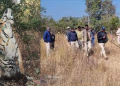 Tiger's body found hanging