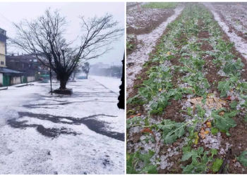 Hailstorm in Moran