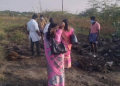 stray dog killed