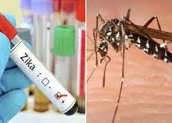 ধৰা পৰিল জিকা ভাইৰাছৰ প্ৰথমটো ঘটনা; সমগ্ৰ কৰ্ণাটকত জাৰি কৰা হৈছে সতৰ্কতা