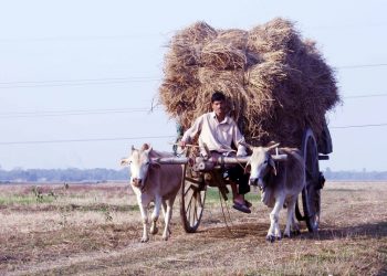 জাতীয় অৰ্থনীতি হেৰুৱাই জাতীয় সংস্কৃতি ধৰি ৰখাটো সম্ভৱনে?