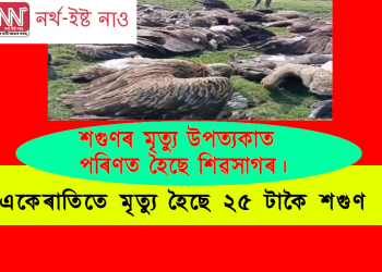 শগুণৰ মৃত্যু উপত্যকাত পৰিণত হৈছে শিৱসাগৰ