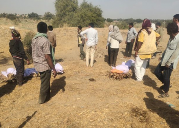 Twins dead in Rajasthan