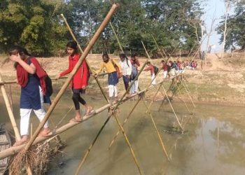 উন্নয়নৰ ফোপোলা স্বৰূপ; পিঠিত কিতাপৰ বেগ লৈ বাঁহৰ সাঁকোৰে বিদ্যালয়লৈ কণকণ ছাত্ৰ-ছাত্ৰী