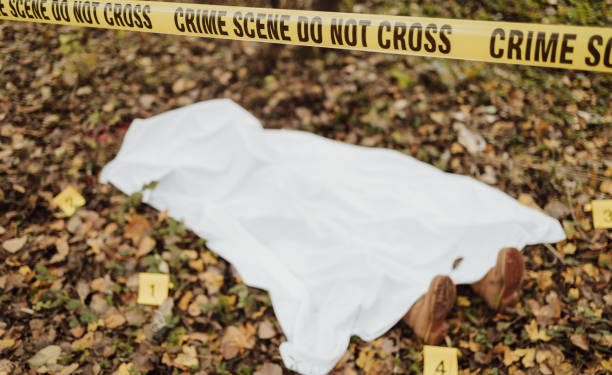Investigation process. Dead body covered with white shirt lying on the ground in the woods. Crime scene setup.