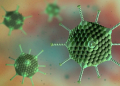 adenovirus