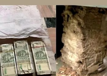 উঁই পোকে কূটি খাই পেলালে বেংকৰ লকাৰত থকা লক্ষাধিক টকা! মূৰে-কপালে হাত গ্ৰাহকৰ