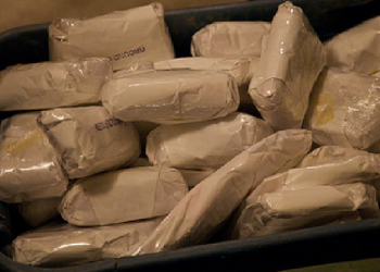 Drugs Seized In Mizoram Assam