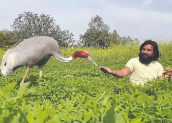 Arif Khan