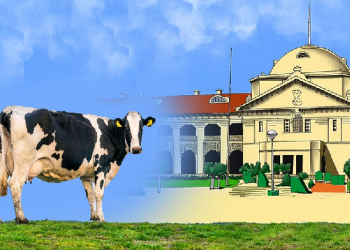 Allahabad High Court on cow
