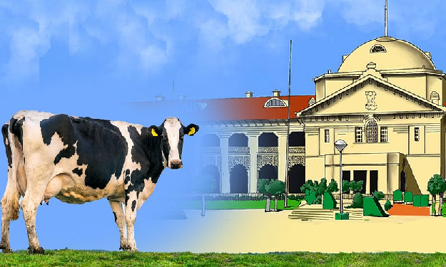 Allahabad High Court on cow