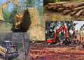 environmental destruction for development