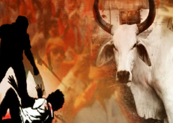 Man Lynched On Suspicion Of Carrying Beef