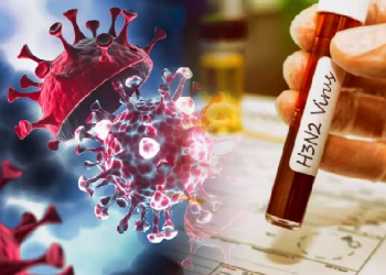 death in H3N2 influenza virus