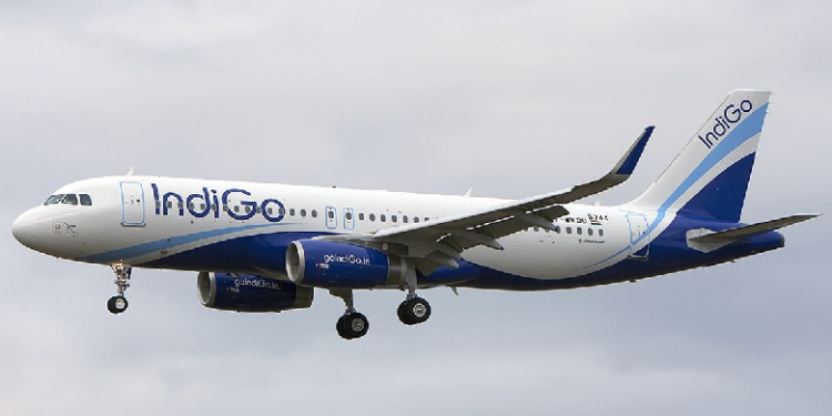 Flyers Drinking In IndiGo Plane
