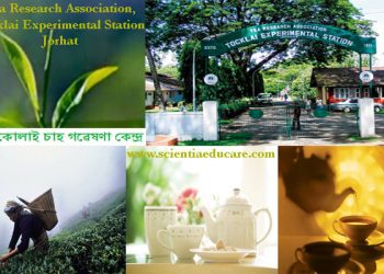 টোকলাই চাহ গৱেষণা প্ৰতিষ্ঠান ৰক্ষা কৰকঃ ডি ৱাই এফ আই