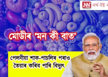 পেলনীয়া শাক-পাচলিৰ পৰাও তৈয়াৰ কৰিব পাৰি বিদ্যুৎ : ‘মন কী বাত’ত এইবাৰ কি ক’লে প্ৰধানমন্ত্ৰীয়ে