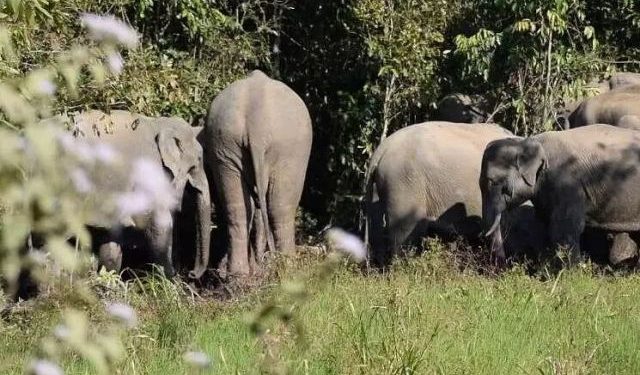 প্রতিনিধিত্বমূলক ফটো।