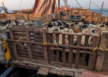 boat seized