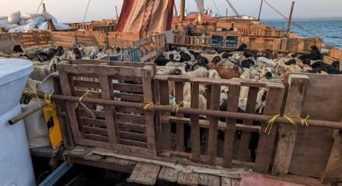 boat seized