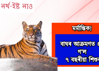 মৰ্মান্তিক! বাঘৰ আক্ৰমণত প্ৰাণ গ’ল ৭ বছৰীয়া শিশুৰ