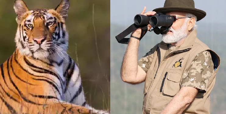 India's Tiger Population