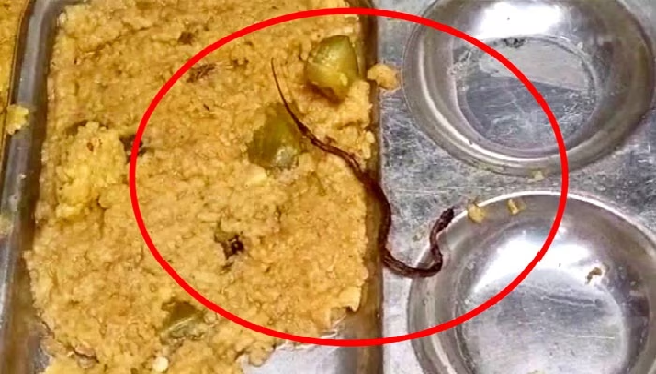 Snake Found In Mid-Day Meal