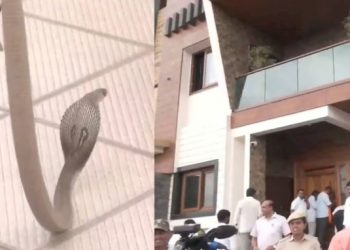 কৰ্ণাটকত ভোটগণনাৰ মাজতে বিজেপি কাৰ্যালয়লৈ যোৱা মুখ্যমন্ত্ৰী বোম্মাইৰ সন্মুখত সাপ!