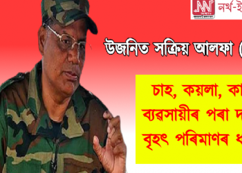 উজনিত সক্ৰিয় আলফা(স্বা) : চাহ, কয়লা, কাঠ ব্যৱসায়ীৰ পৰা দাবী বৃহৎ পৰিমাণৰ ধন