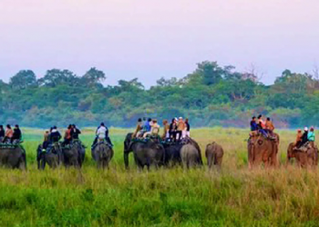 Assam Forest department