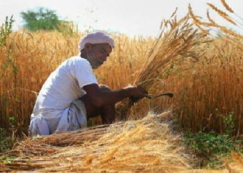 farmers killed