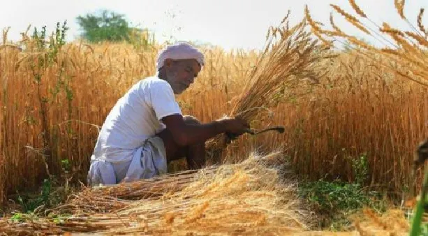 farmers killed