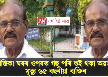 মৰ্মান্তিক! ঘৰৰ ওপৰত গছ পৰি শুই থকা অৱস্থাতে মৃত্যু ৬৫ বছৰীয়া ব্যক্তিৰ