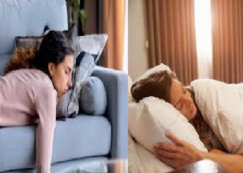 ‘ভাত ঘুমটি’ ভাল লাগেনে? দিনত ‘অলপ টোপনি’ মগজুৰ বাবে বৰ উপকাৰী; প্ৰকাশ পাইছে গৱেষণাত