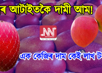 বিশ্বৰ আটাইতকৈ দামী আম! এক কিলোগ্ৰামৰ দাম কেই লাখ টকা?