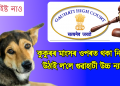 কুকুৰৰ মাংসৰ ওপৰত থকা নিষেধাজ্ঞা উঠাই ল’লে গুৱাহাটী উচ্চ ন্যায়ালয়ে