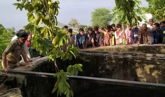 ফটো: সংগ্ৰহীত।