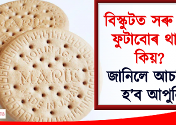 বিস্কুটত সৰু সৰু ফুটাবোৰ থাকে কিয় ? জানিলে আচৰিত হ’ব আপুনি